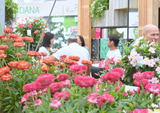 Meetings en nog meer meetings. Er hing een positieve sfeer!